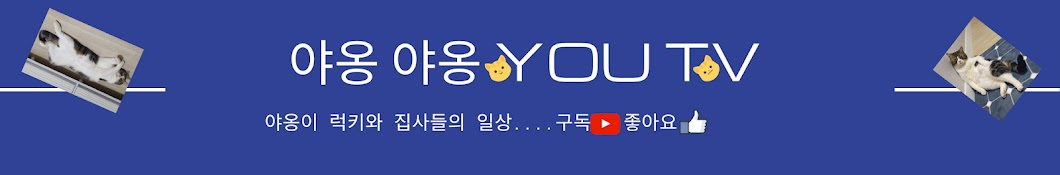 야옹야옹 YouTV