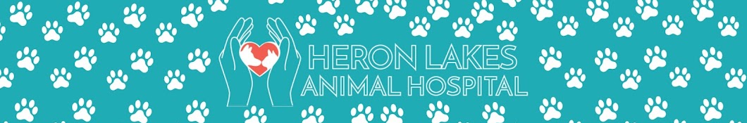 Dr. Lera @ Heron Lakes Animal Hospital