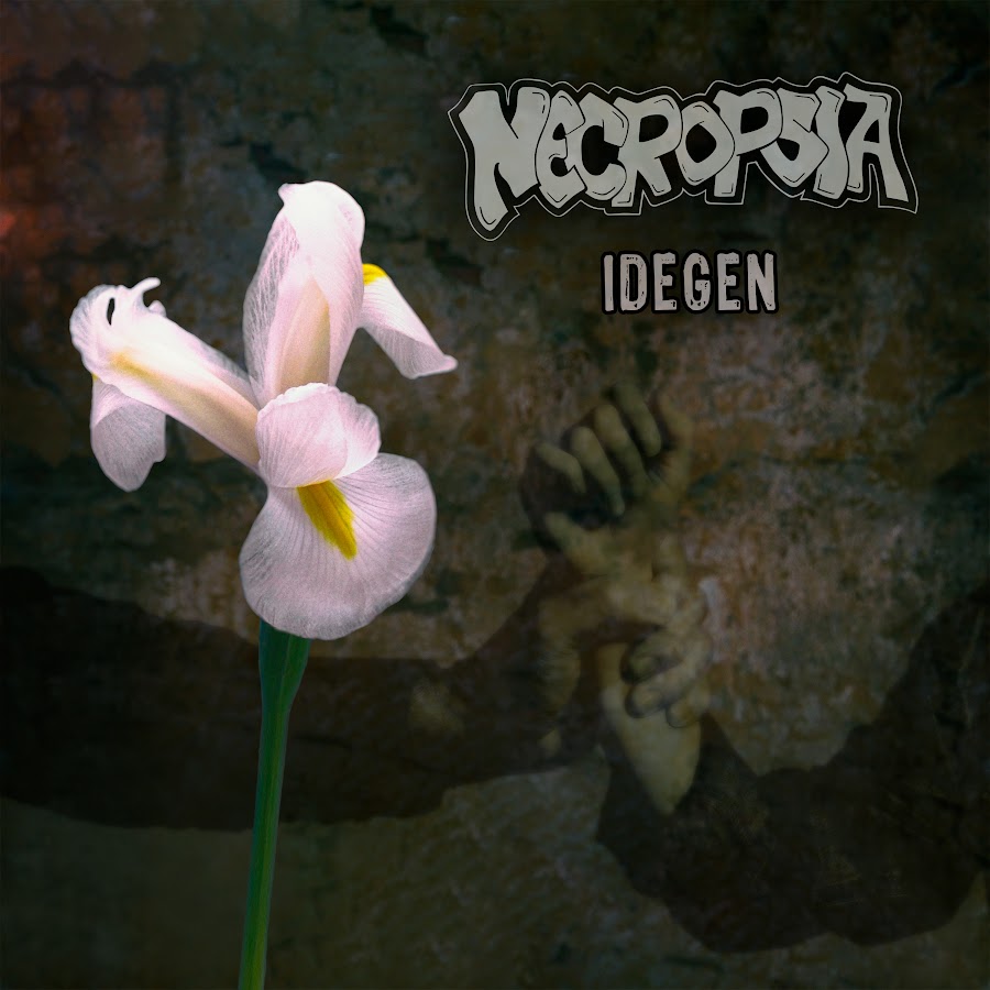 Necropsia
