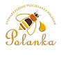 Polanka TV