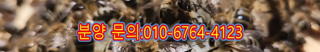 Carnica bee [카니카 종봉연구소]