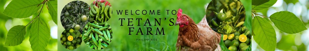 Tetan’s Farm