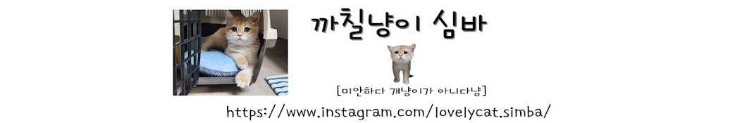 까칠냥심바