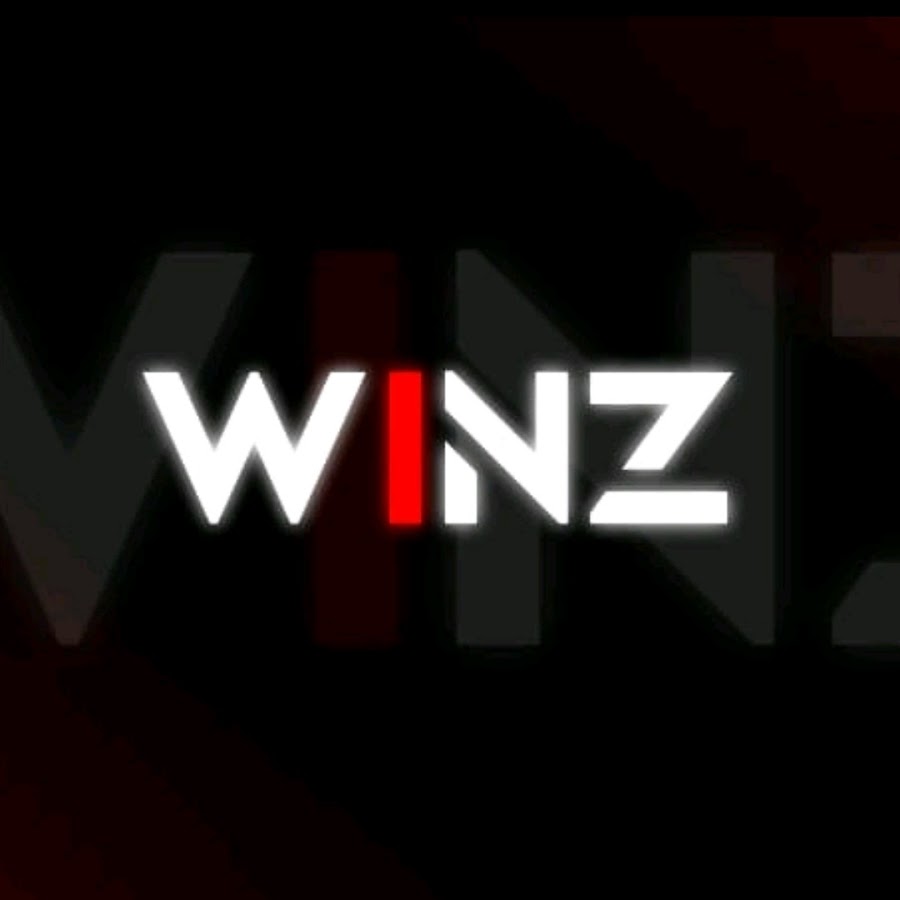 winz payment card balance