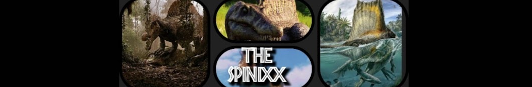 The_SpiniXxh