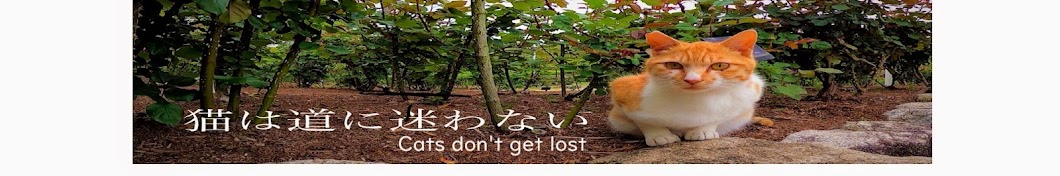 猫は道に迷わない Cats don't get lost