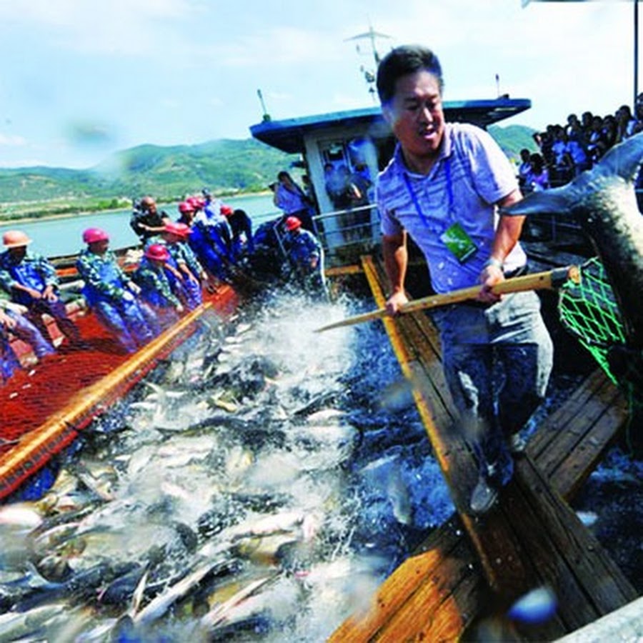 aquaculture technology