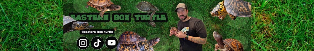 Eastern_Box_Turtle