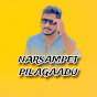 NARSAMPET PILAGAADU