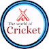 The world of cricket