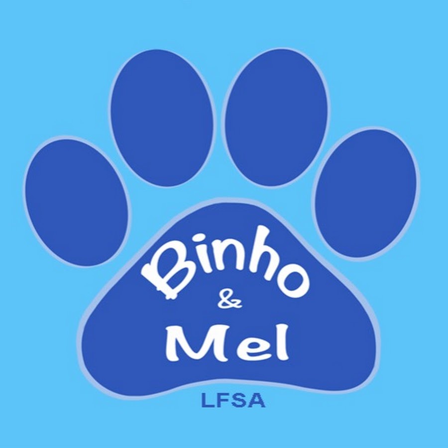 Animais engraçados - Cães e gatos engraçados - Binho e Mel #67