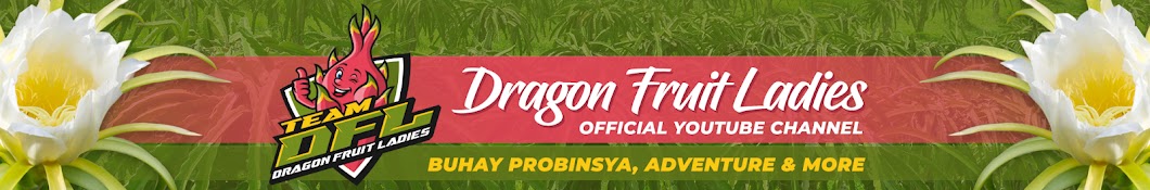 Dragon Fruit Ladies Official Banner