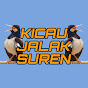 Kicau Jalak Suren