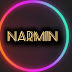 logo NARMIN