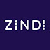 logo Zindi Africa