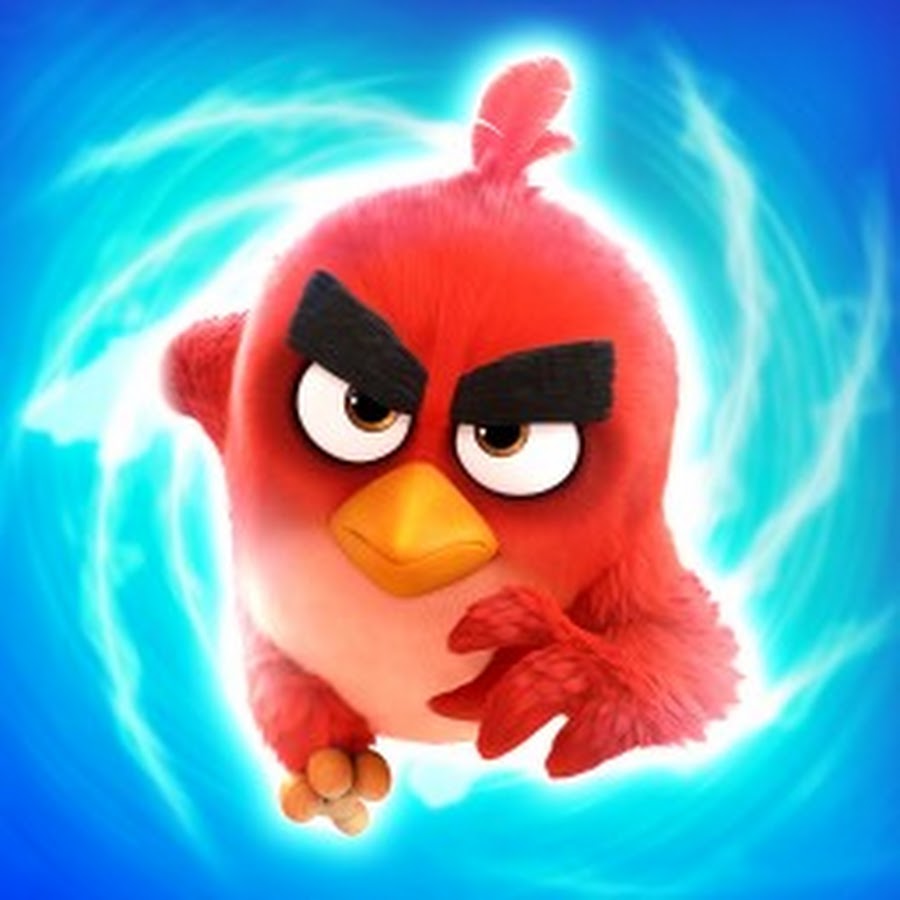 Включи то птица. Angry Birds Explorer. Angry Birds ar. Включи птичку. Angry Birds Bubble Gum explore.