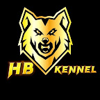 HB Kennel