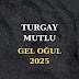 Turgay Mutlu - Topic