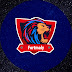 logo FortMaly