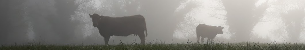 Teagasc Roscommon / Longford