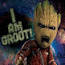 Ign Groot