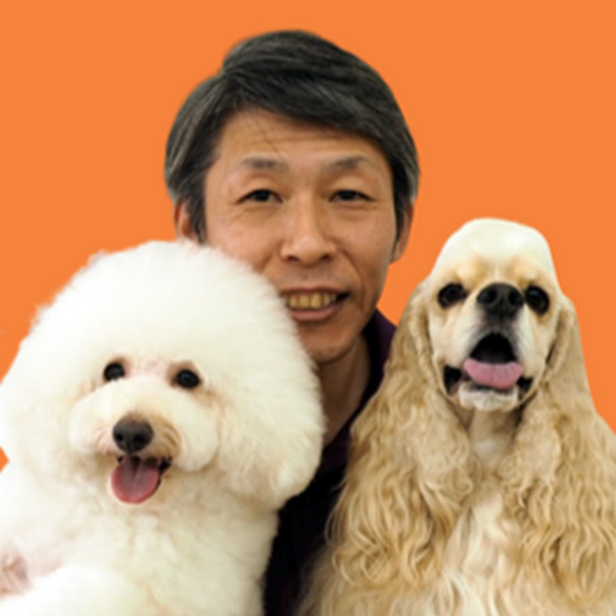 犬のしつけチャンネル / ドッグトレーナー 金倉 高志 @dogcatch
