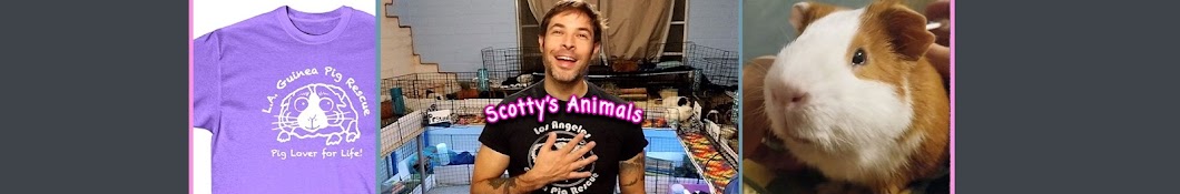 Scotty's Animals Banner