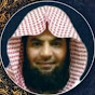 القارئ أحمد شوقي Reader Ahmed Shawky