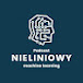 Nieliniowy