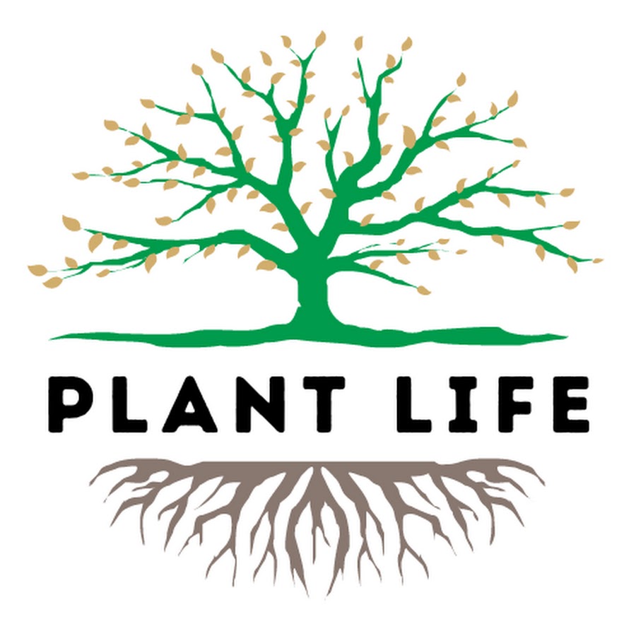 Plant Life 