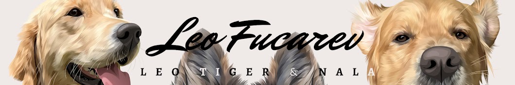 Leo Fucarev Banner