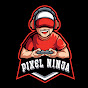 Pixel Ninja Gaming