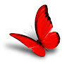 Butterfly​-មេអំបៅ