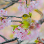 花鳥風月&山紫水明