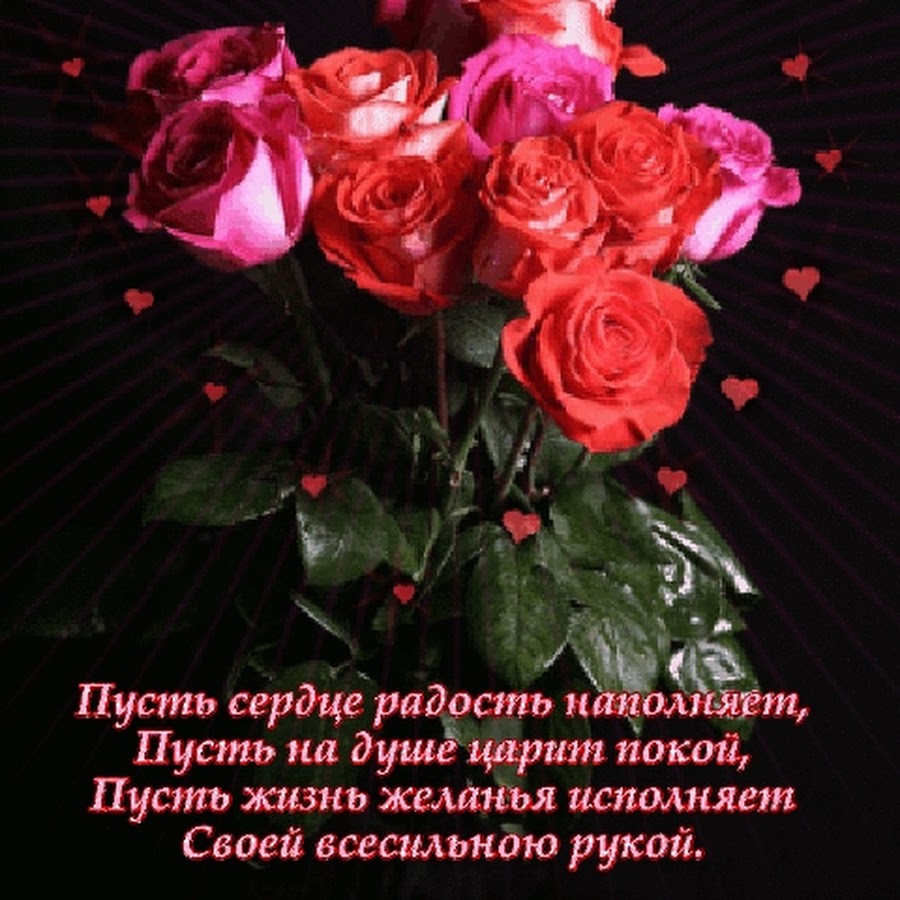 Поздравляю дорогую сердцу женщину. Цветы прекрасному человеку с красивой душой. Розы с пожеланиями счастья. Живые открытки. Красивые пожелания от души.
