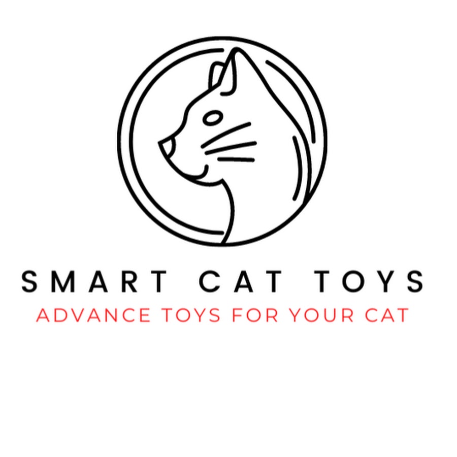 Smart Cat Toys - YouTube