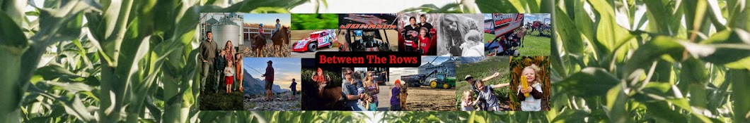 Between The Rows Banner