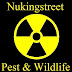 Nukingstreet