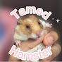 Hammy’s Habitat