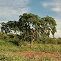 Rancho do Recomeço