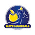 Metz Handball