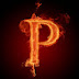 logo protechtor 