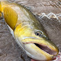 Utah Fishing Channel