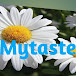 Mytaste