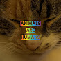 Animals Are Humans