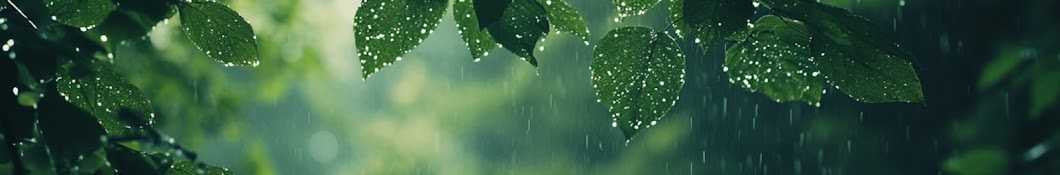 힐링 레인 뮤직 Healing Rain Music