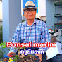 บอนไซครูชัยยงค์ Bonsai_maxim