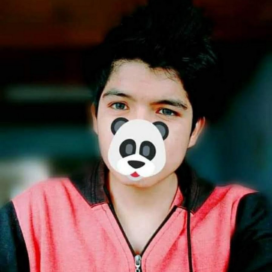 Pandipollox3 @pandipollox3