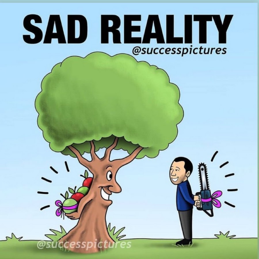 sad reality other words