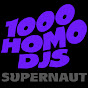 1000 Homo DJs - Topic